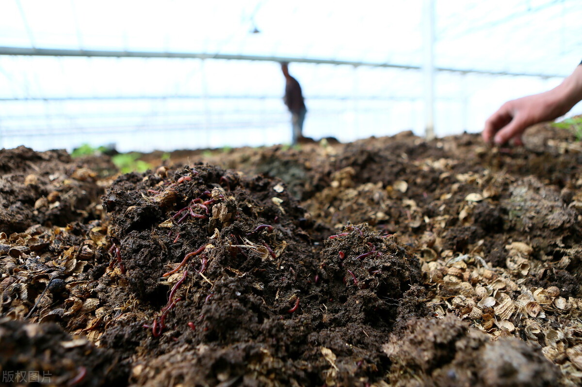 有機肥設備如何改善土壤？一文講透三類設備作用